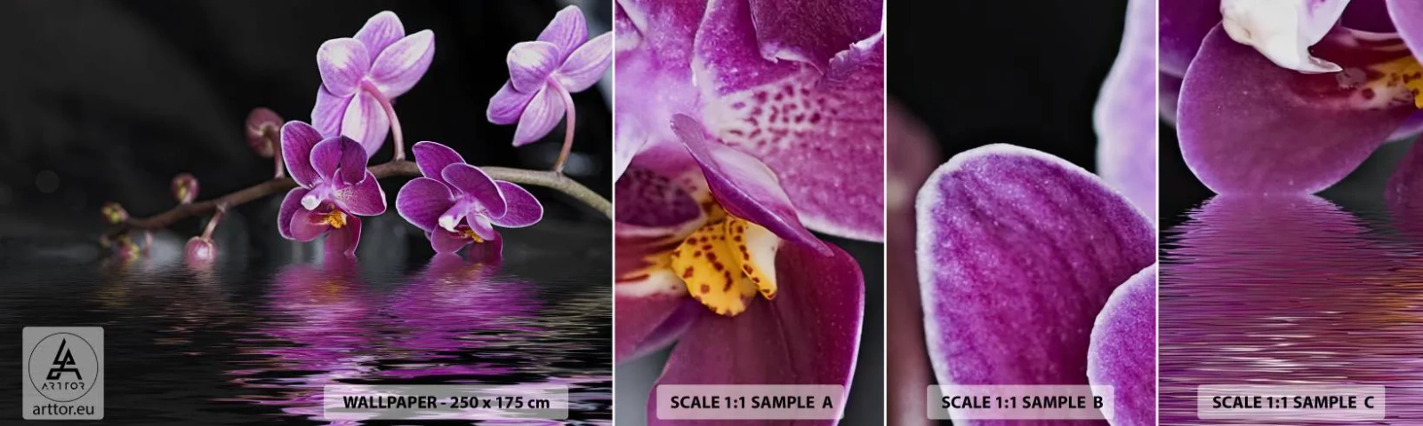 Campione di Fotomurale Adesivo Deluxe Sticker - La bellezza riflessa dai gigli - Fiori, Orchidea, Natura - 100x30 cm