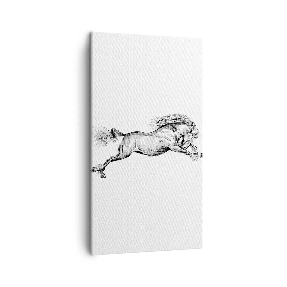 Quadro su tela - Stampe su Tela - Fermo al galoppo - 45x80 cm