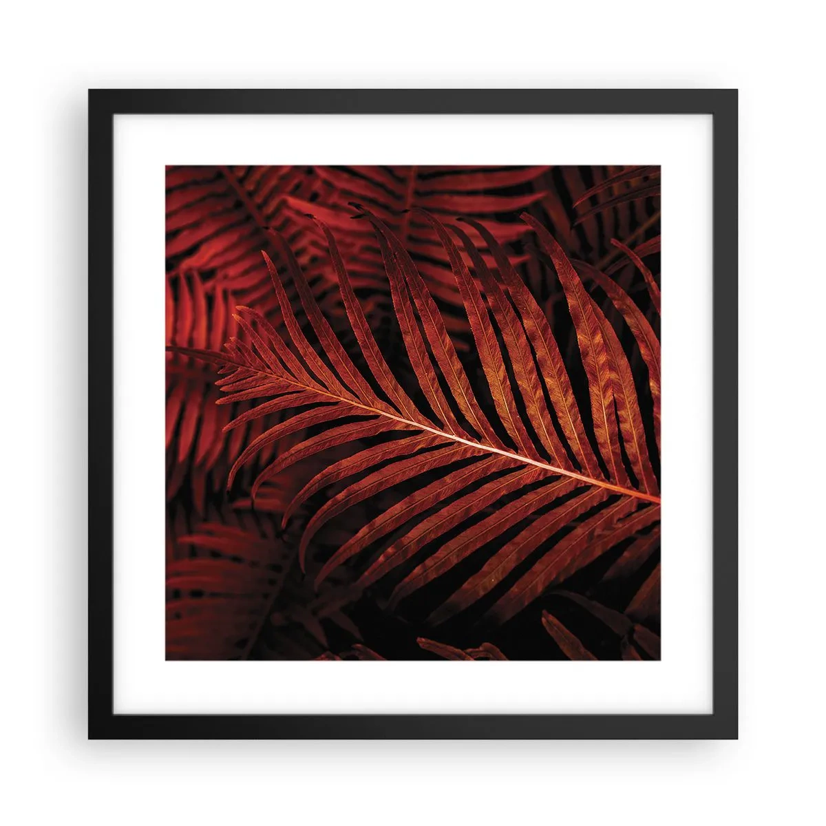 Poster in cornice nera - Il calore della vita - 40x40 cm
