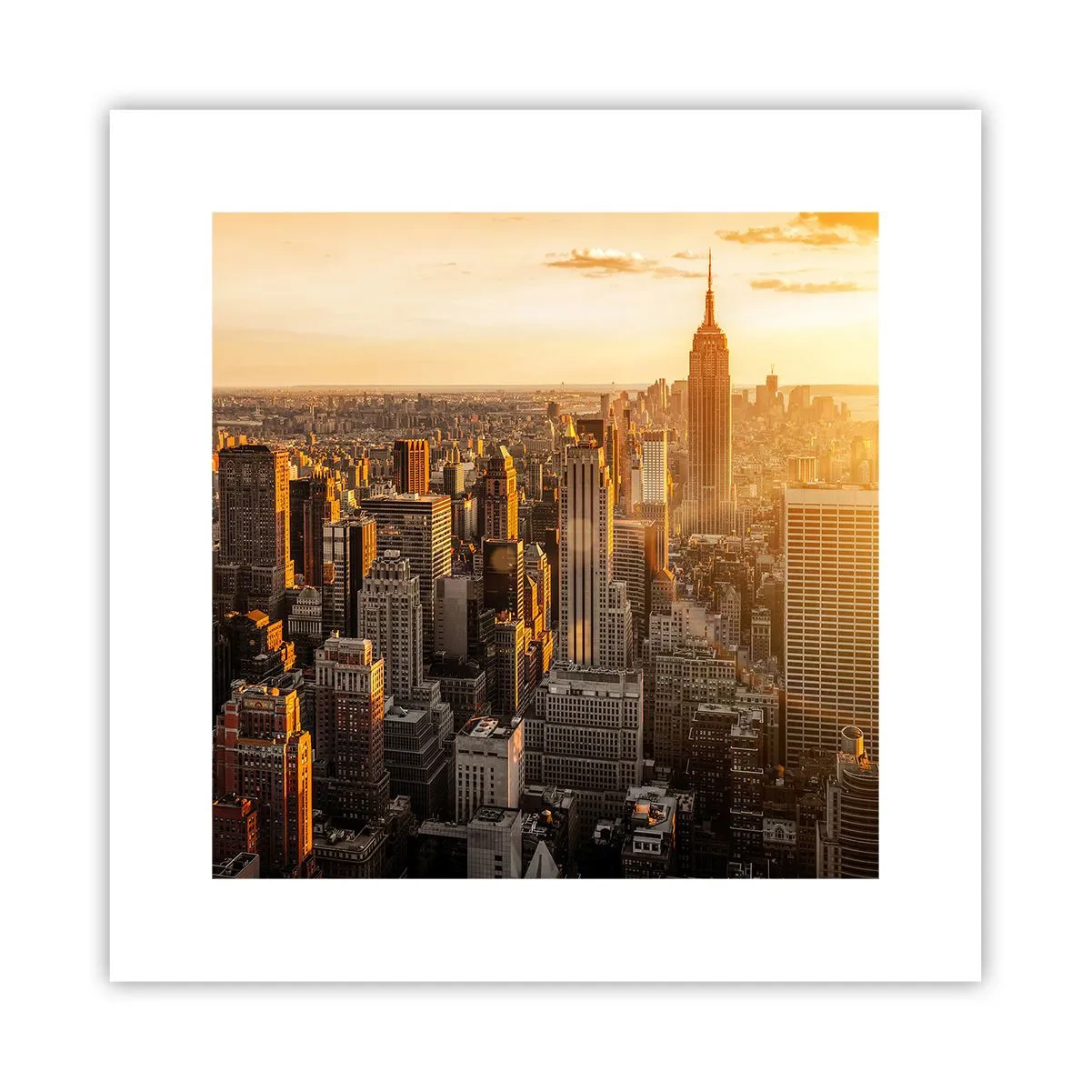 Poster - Crescere al sole - 30x30 cm