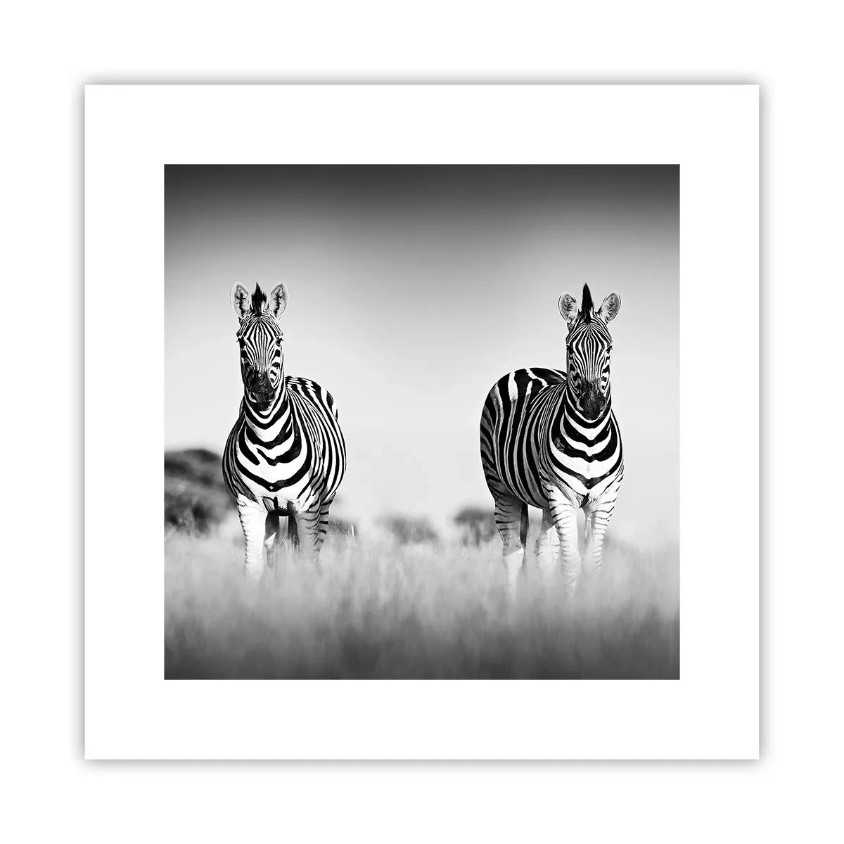 Poster - E tuttavia il mondo è bianco e nero - 30x30 cm