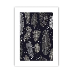 Poster - Pizzo piumato - 30x40 cm