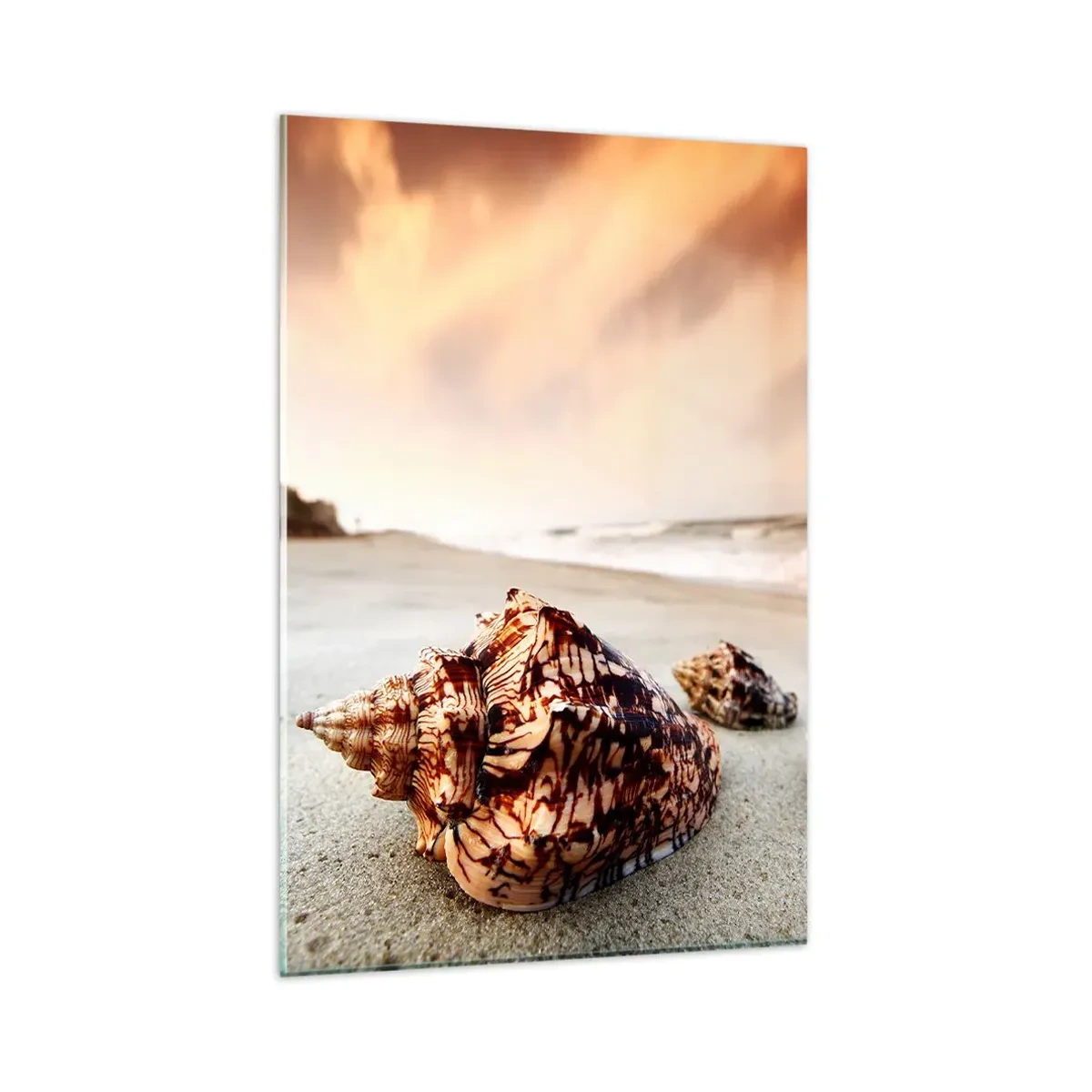 Quadro su vetro - Conchiglie sulla spiaggia al tramonto - 80x120cm - Esiliate dalle onde - Decorazione murale moderna per soggiorno e camera da letto ARTTOR