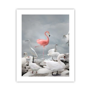 Poster - Come sono arrivato qui? - 40x50 cm