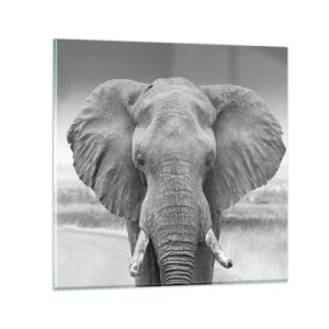 Quadro su vetro - Benvenuti nel mio mondo - 70x70 cm