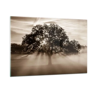 Quadro su vetro - Un albero nella nebbia mattutina con i raggi del sole che brillano attraverso i rami - 120x80cm - L'albero delle sole buone notizie - Decorazione murale moderna per soggiorno e camera da letto ARTTOR