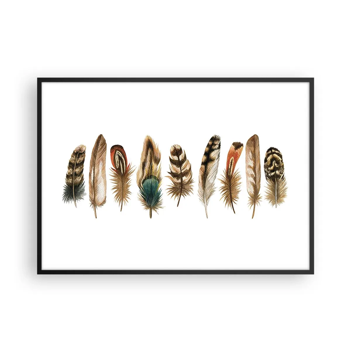 Poster in cornice nera - Motivo decorativo di una raccolta di piume varie - 100x70cm - Composizione di piume - Decorazione murale moderna per soggiorno e camera da letto ARTTOR