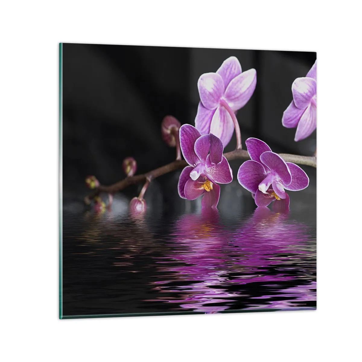 Quadro su vetro - La bellezza riflessa dai gigli - 60x60 cm
