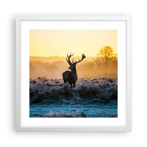 Poster in cornice bianca - Incoronato nelle sue terre - 40x40 cm