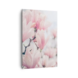 Quadro su tela - Stampe su Tela - Delicati fiori di magnolia in delicate tonalità rosa - 80x120cm - Ideale di delicatezza - Decorazione murale moderna per soggiorno e camera da letto ARTTOR