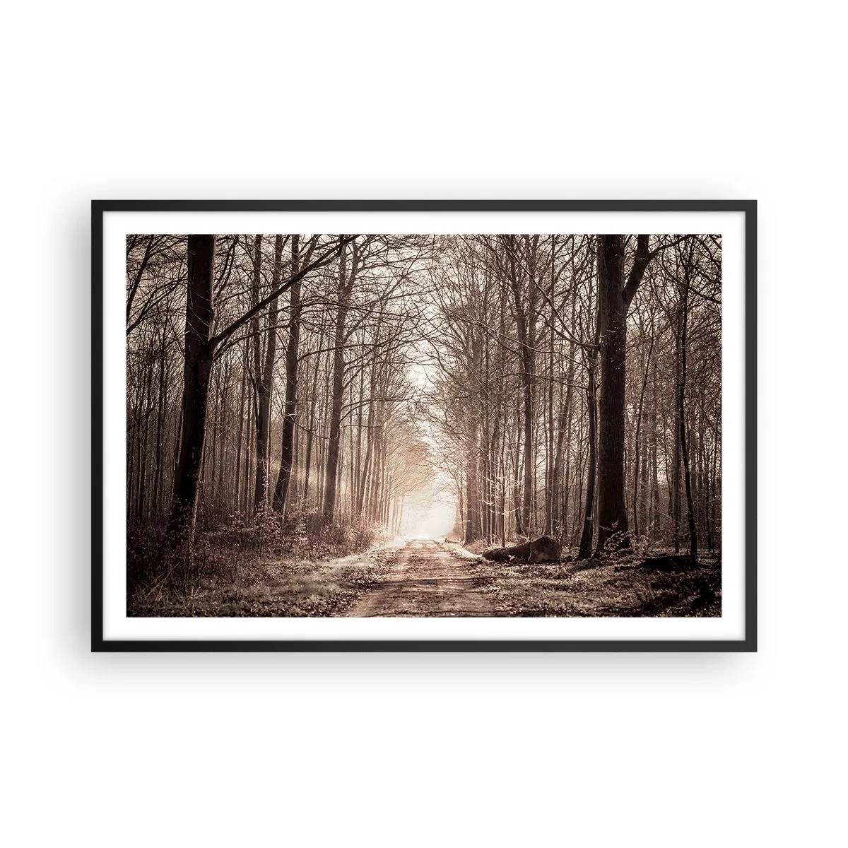 Poster in cornice nera - La cattedrale del bosco - 91x61 cm