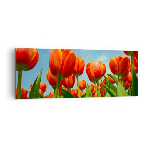 Quadro su tela - Stampe su Tela - Un campo di tulipani rossi e arancioni contro un cielo blu - 140x50cm - A loro non serve nulla oltre al cielo azzurro - Decorazione murale moderna per soggiorno e camera da letto ARTTOR