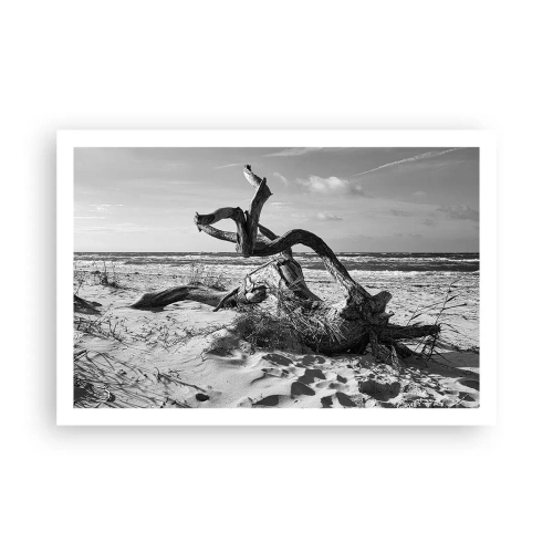Poster - Scolpito dal mare - 91x61 cm