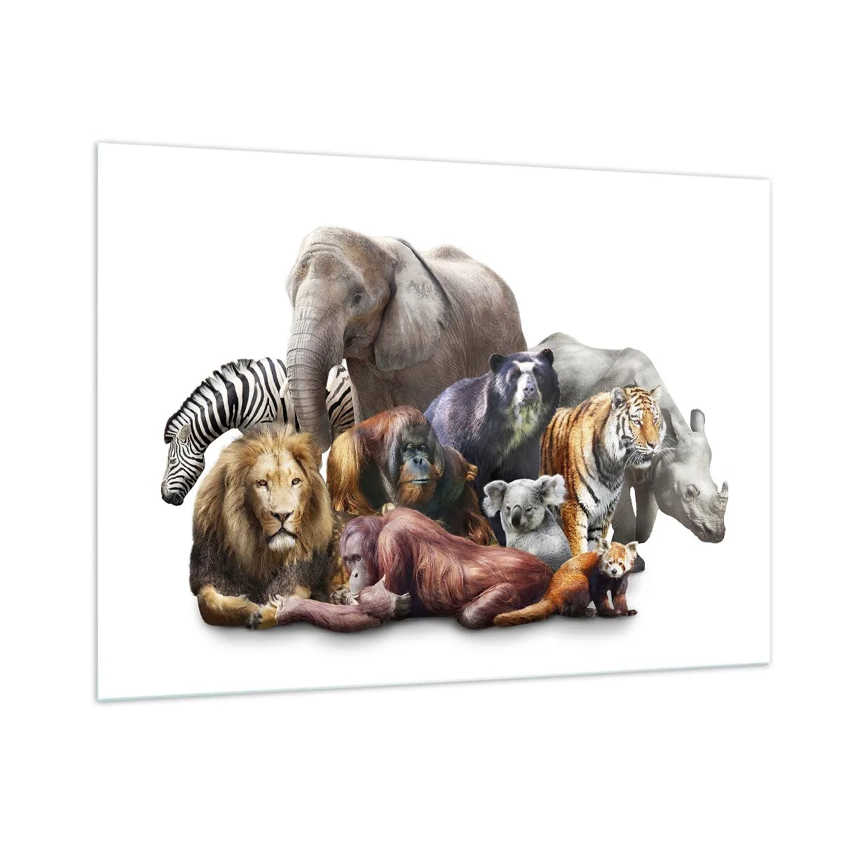 Quadro su vetro - Un gruppo di animali selvatici su uno sfondo bianco in uno scatto artistico - 100x70cm - Foto di famiglia africana - Decorazione murale moderna per soggiorno e camera da letto ARTTOR