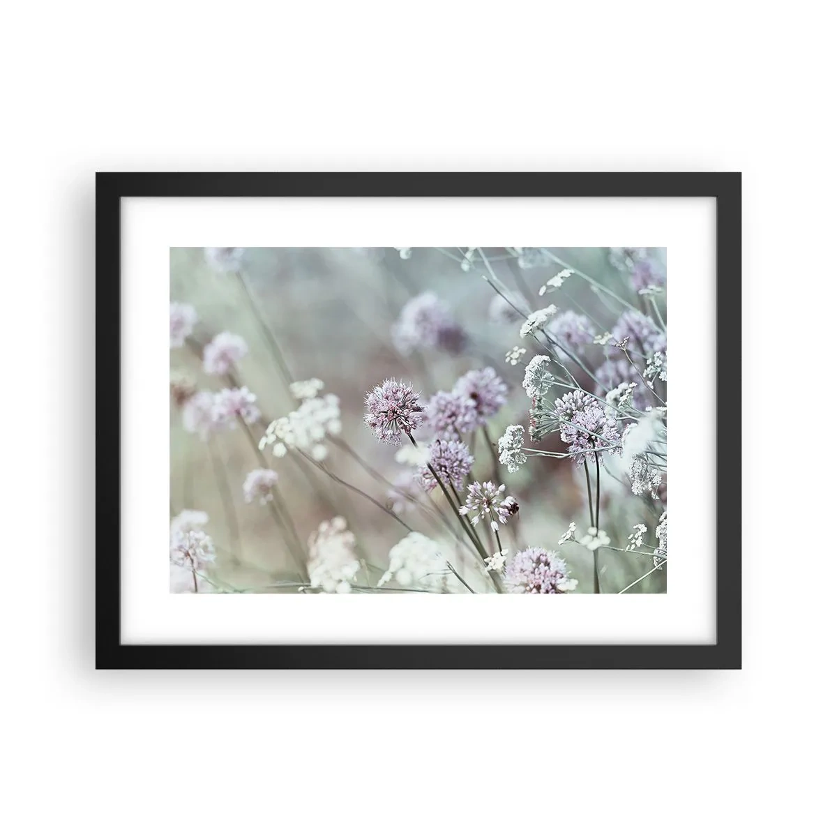 Poster in cornice nera - Le dolci filigrane delle erbe - 40x30 cm