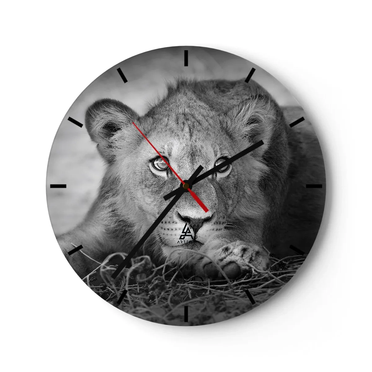 Orologio da parete - Orologio in Vetro - Un giovane leone sdraiato a terra in bianco e nero - 30x30cm - Cucciolo reale - Decorazione murale moderna per soggiorno, cucina e camera da letto ARTTOR