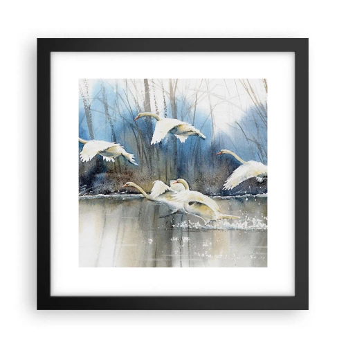 Poster in cornice nera - Come la favola dei cigni selvatici - 30x30 cm