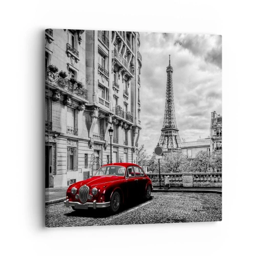 Quadro su tela - Stampe su Tela - Predatore in città - 30x30 cm