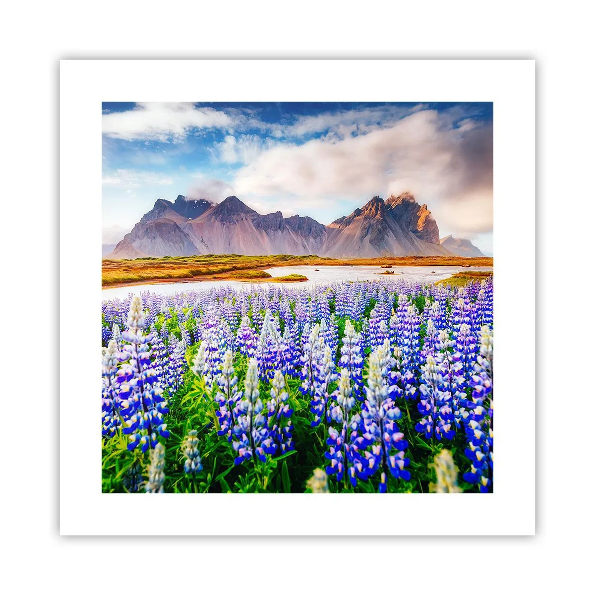 Poster - Forza e asprezza accanto alla mitezza - 40x40 cm