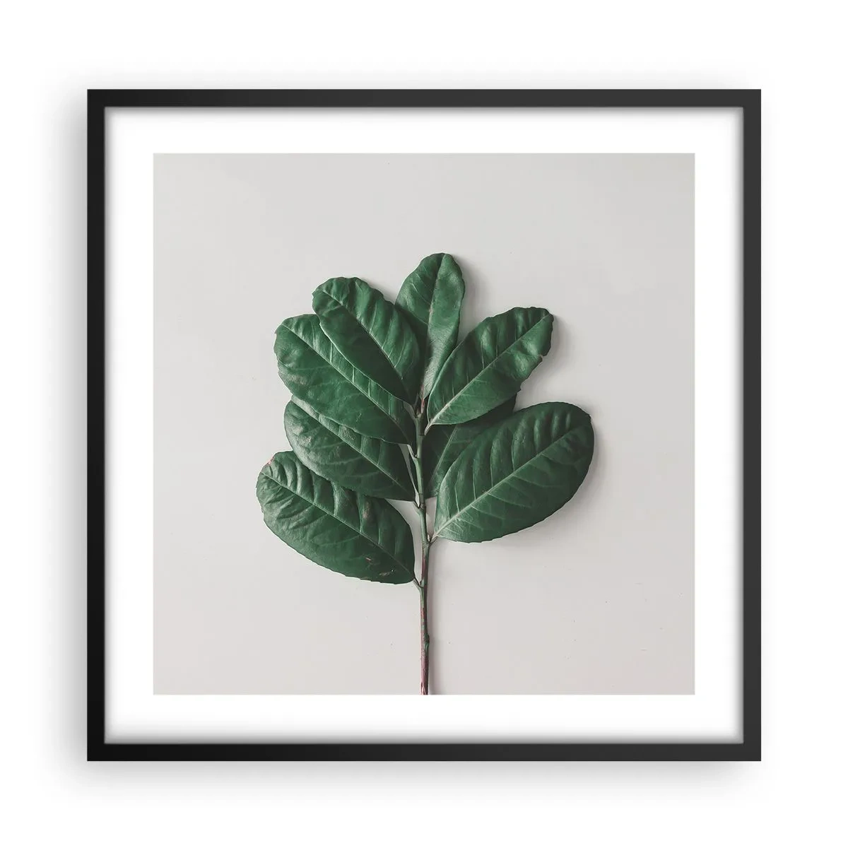 Poster in cornice nera - Il disegno della natura stessa - 50x50 cm