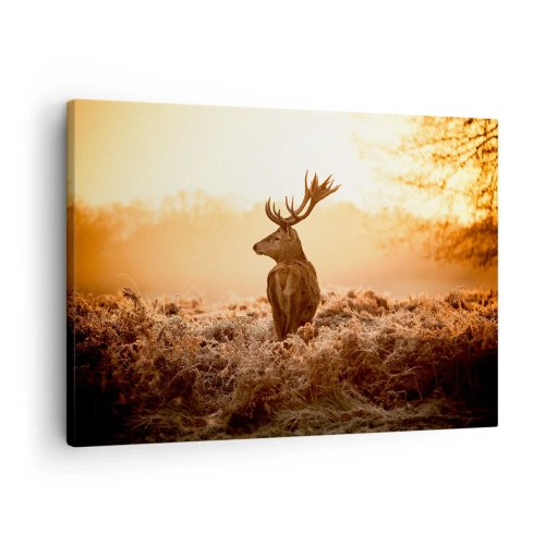 Quadro su tela - Stampe su Tela - Cervo nei raggi del sole nascente - 70x50cm - Il signore sulle sue terre - Decorazione murale moderna per soggiorno e camera da letto ARTTOR
