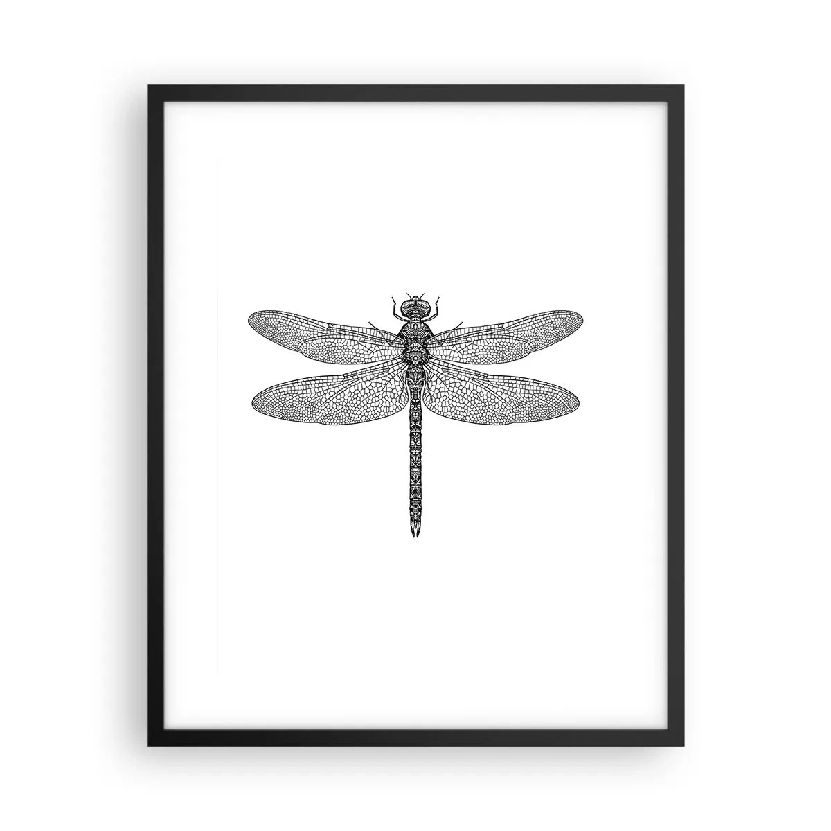 Poster in cornice nera - La precisione della natura - 40x50 cm