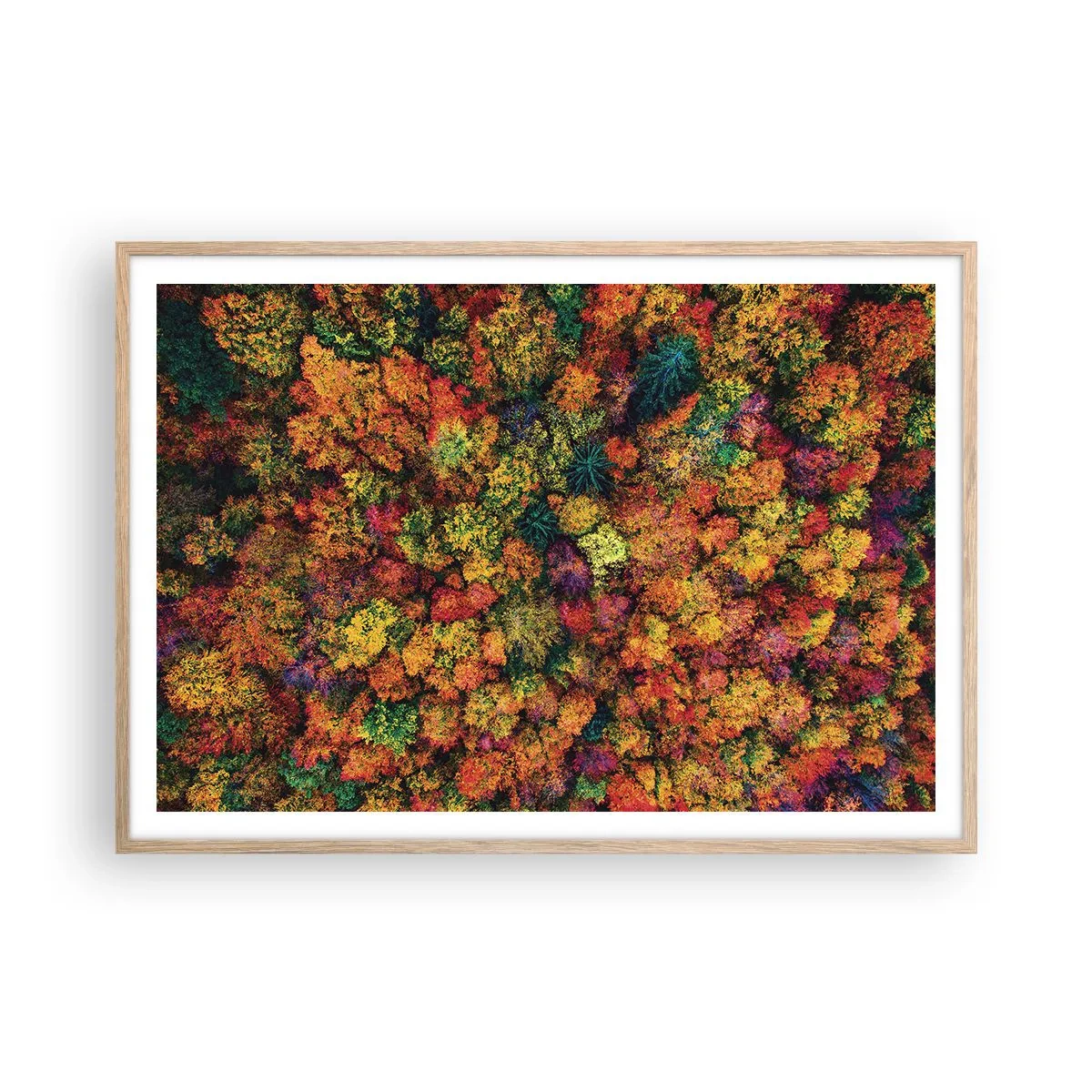 Poster in cornice rovere chiaro - Il bouquet degli alberi d'autunno - 100x70 cm