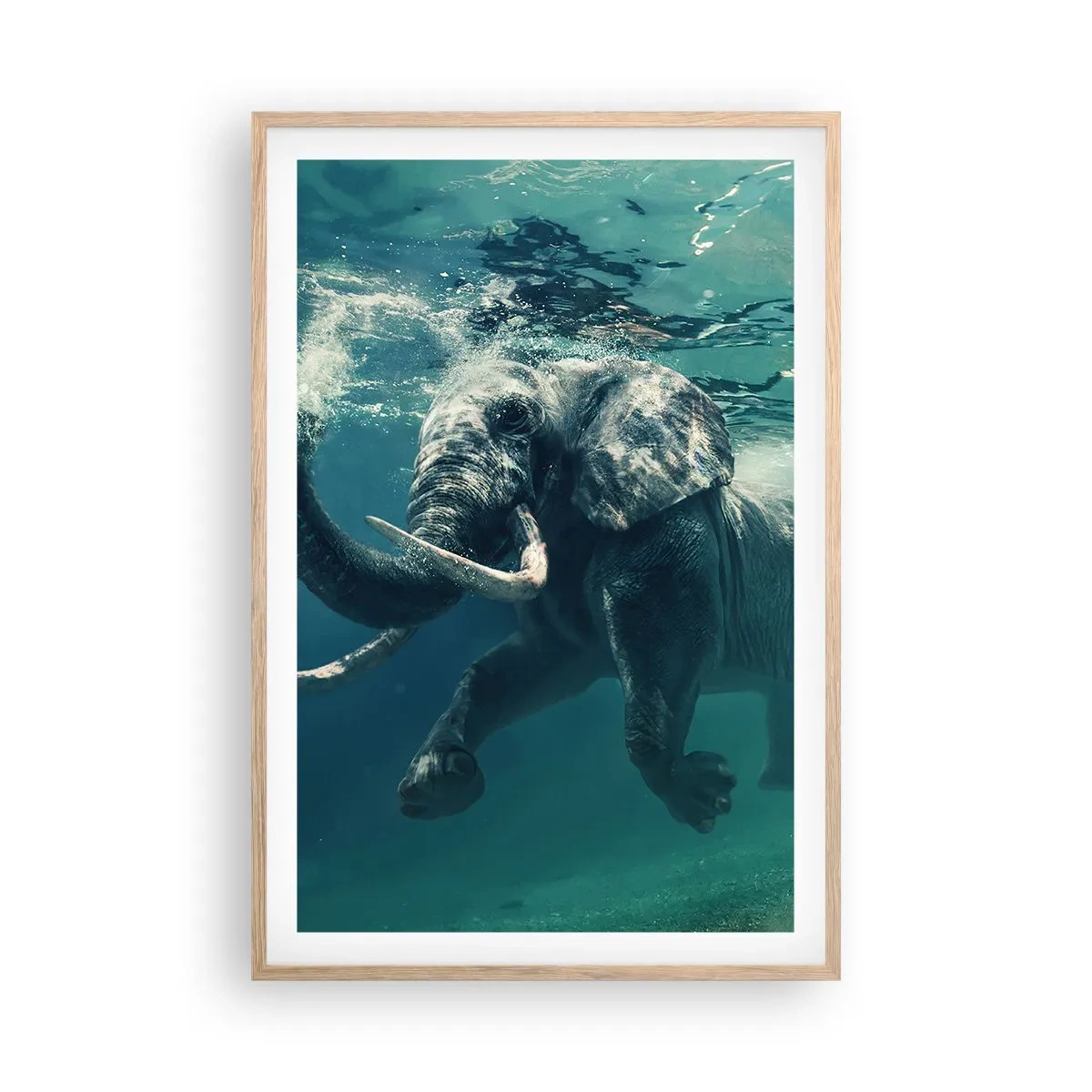 Poster in cornice rovere chiaro - Tutti amano nuotare - 61x91 cm