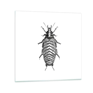 Quadro su vetro - Che esemplare! - 70x70 cm