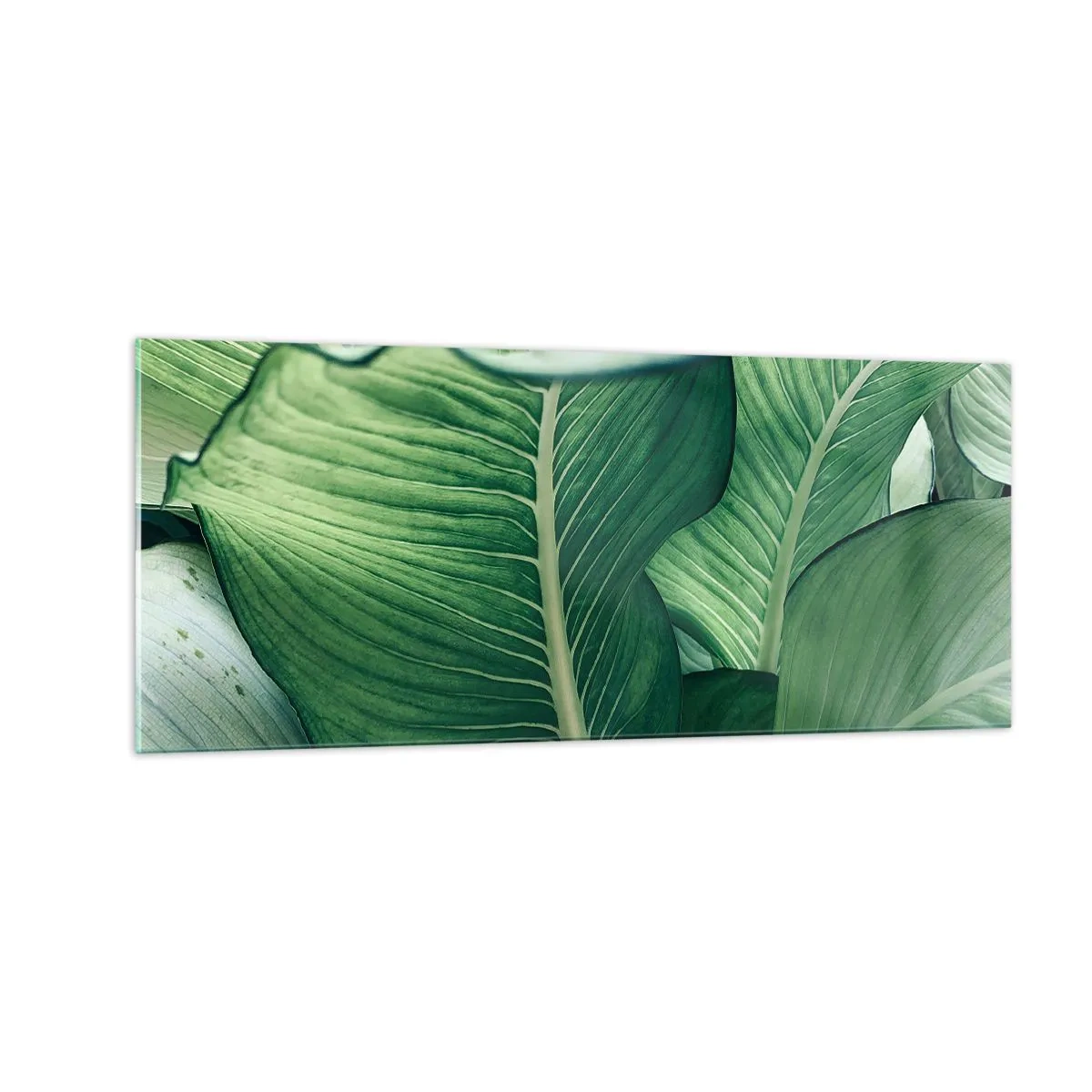 Quadro su vetro - Una vita intensamente verde - 100x40 cm