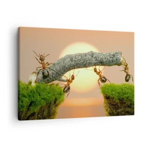 Quadro su tela - Stampe su Tela - Formiche che costruiscono un ponte di rami sullo sfondo del sole al tramonto. - 70x50cm - Gioioso lavoro comune - Decorazione murale moderna per soggiorno e camera da letto ARTTOR