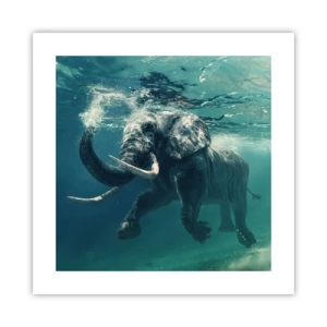 Poster - Tutti amano nuotare - 40x40 cm