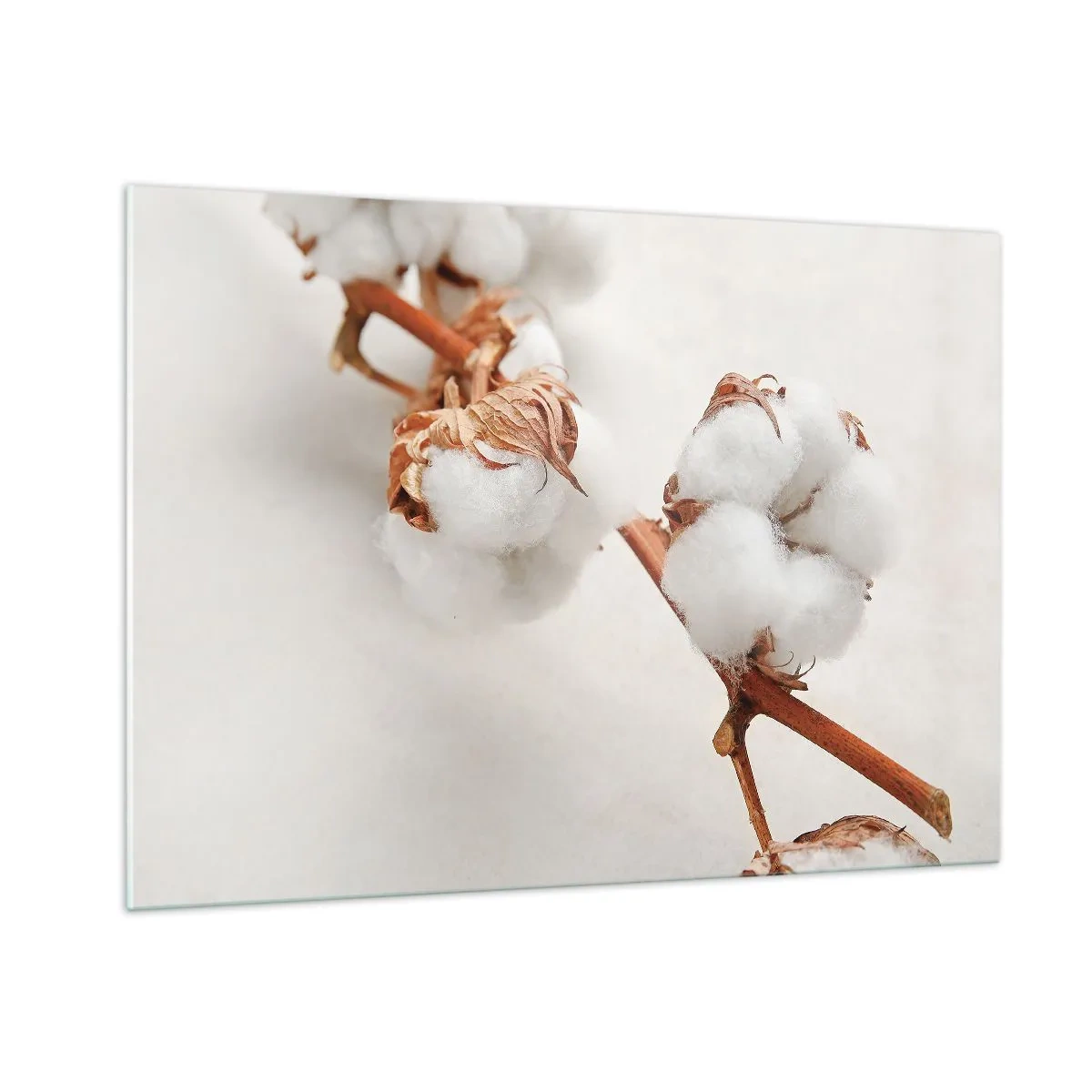 Quadro su vetro - Primo piano di un ramo di cotone su uno sfondo chiaro - 100x70cm - Semplicemente un abbraccio - Decorazione murale moderna per soggiorno e camera da letto ARTTOR