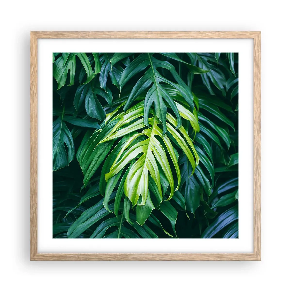 Poster in cornice rovere chiaro - Immergersi nella freschezza - 50x50 cm