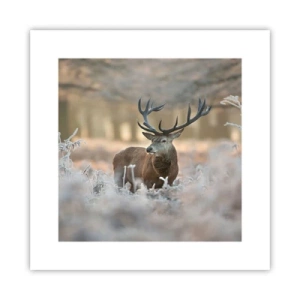 Poster - Fresco mattino - 30x30 cm