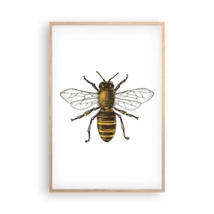 Poster in cornice rovere chiaro - Bella e buona - 61x91 cm