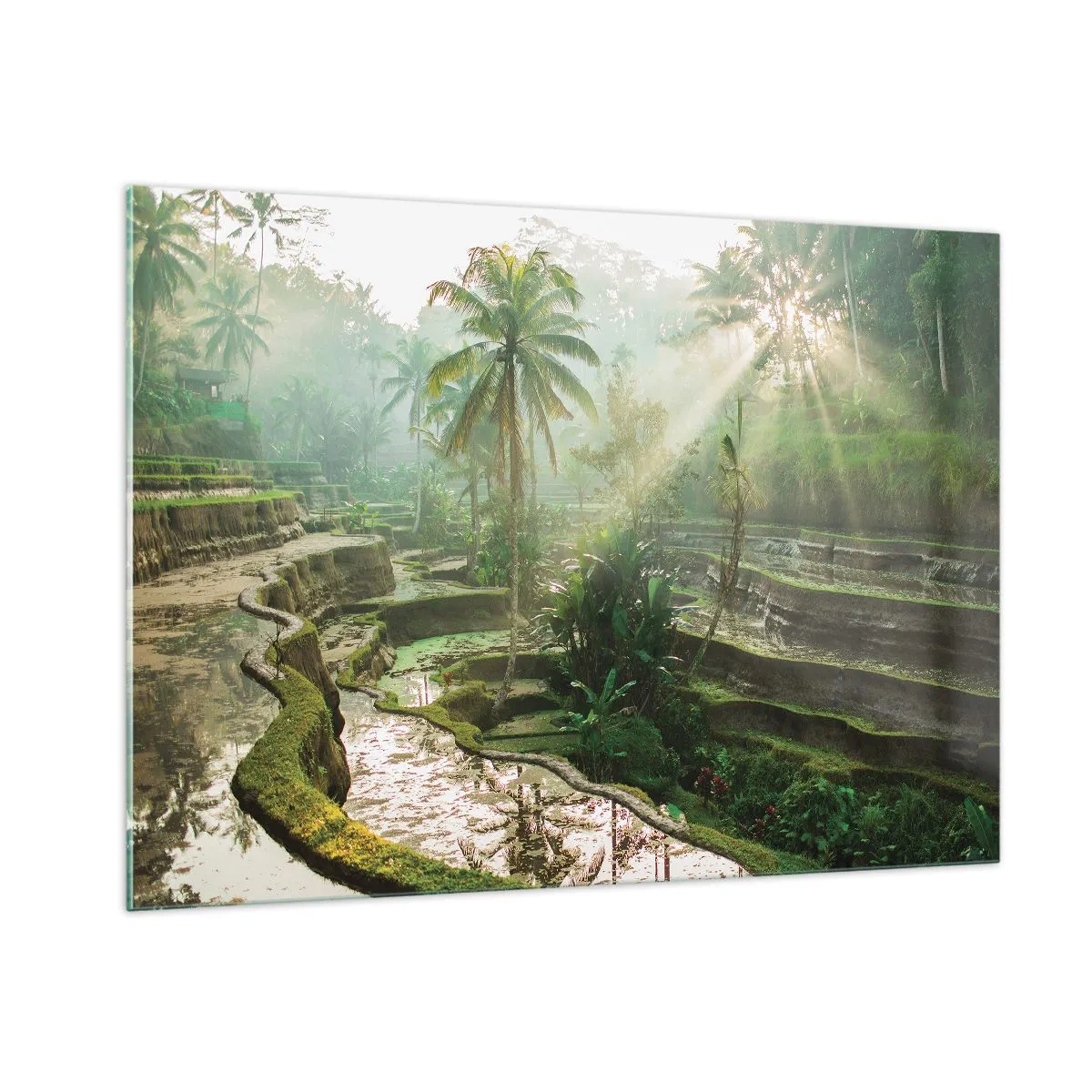 Quadro su vetro - Risaie tropicali con palme nella nebbia mattutina - 100x70cm - Crescere al sole - Decorazione murale moderna per soggiorno e camera da letto ARTTOR