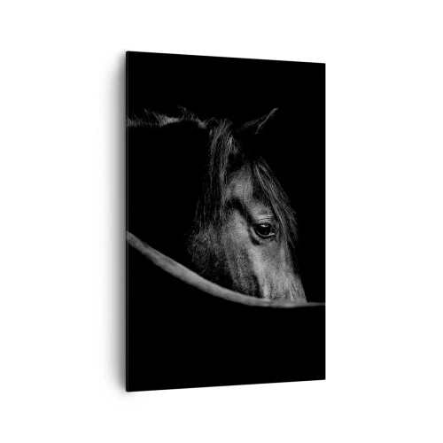 Quadro su tela - Stampe su Tela - Ritratto in bianco e nero di un cavallo con un sottile gioco di luci e ombre su uno sfondo scuro. - 80x120cm - Il principe nero - Decorazione murale moderna per soggiorno e camera da letto ARTTOR