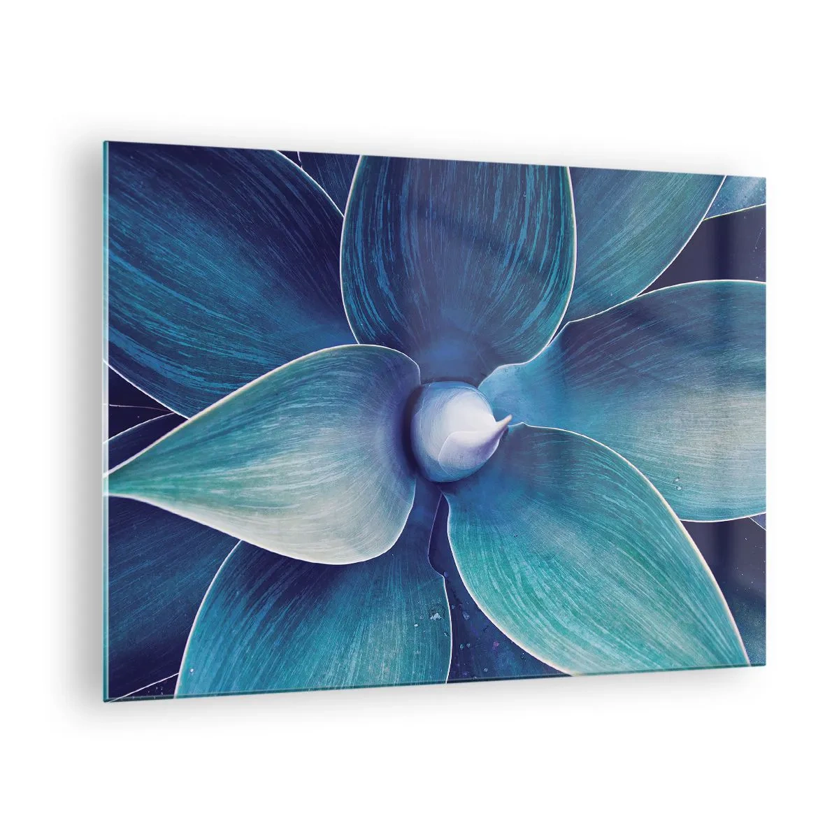Quadro su vetro - Macrofotografia di una pianta nelle tonalità del blu - 70x50cm - Imbluito dal sole - Decorazione murale moderna per soggiorno e camera da letto ARTTOR
