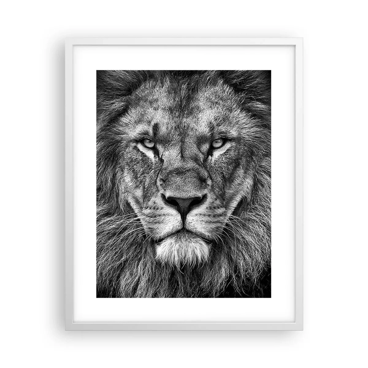 Poster in cornice bianca - Nell'abito dell'incoronazione - 40x50 cm