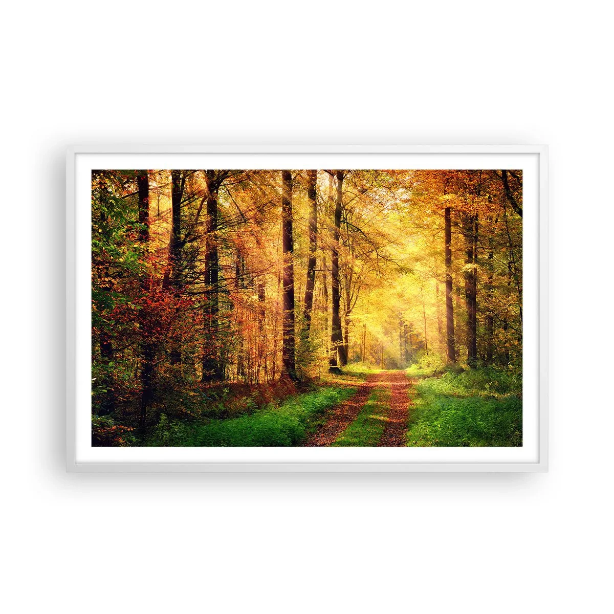Poster in cornice bianca - Il silenzio d'oro del bosco - 91x61 cm