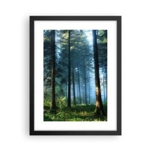 Poster in cornice nera - Raggiante all'alba - 30x40 cm