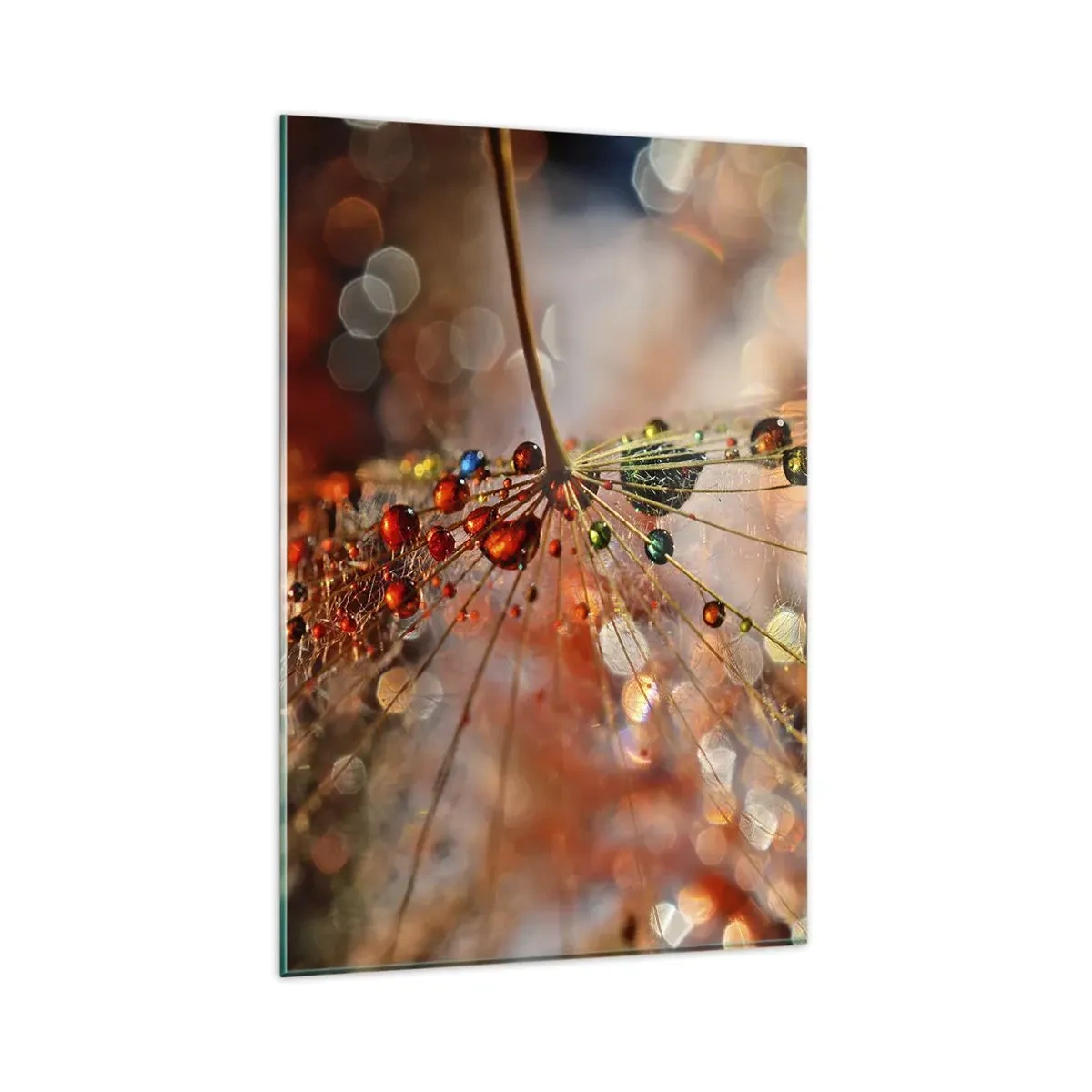 Quadro su vetro - Macrofotografia di una goccia d'acqua su una pianta delicata - 80x120cm - Posate sulla ragnatela - Decorazione murale moderna per soggiorno e camera da letto ARTTOR
