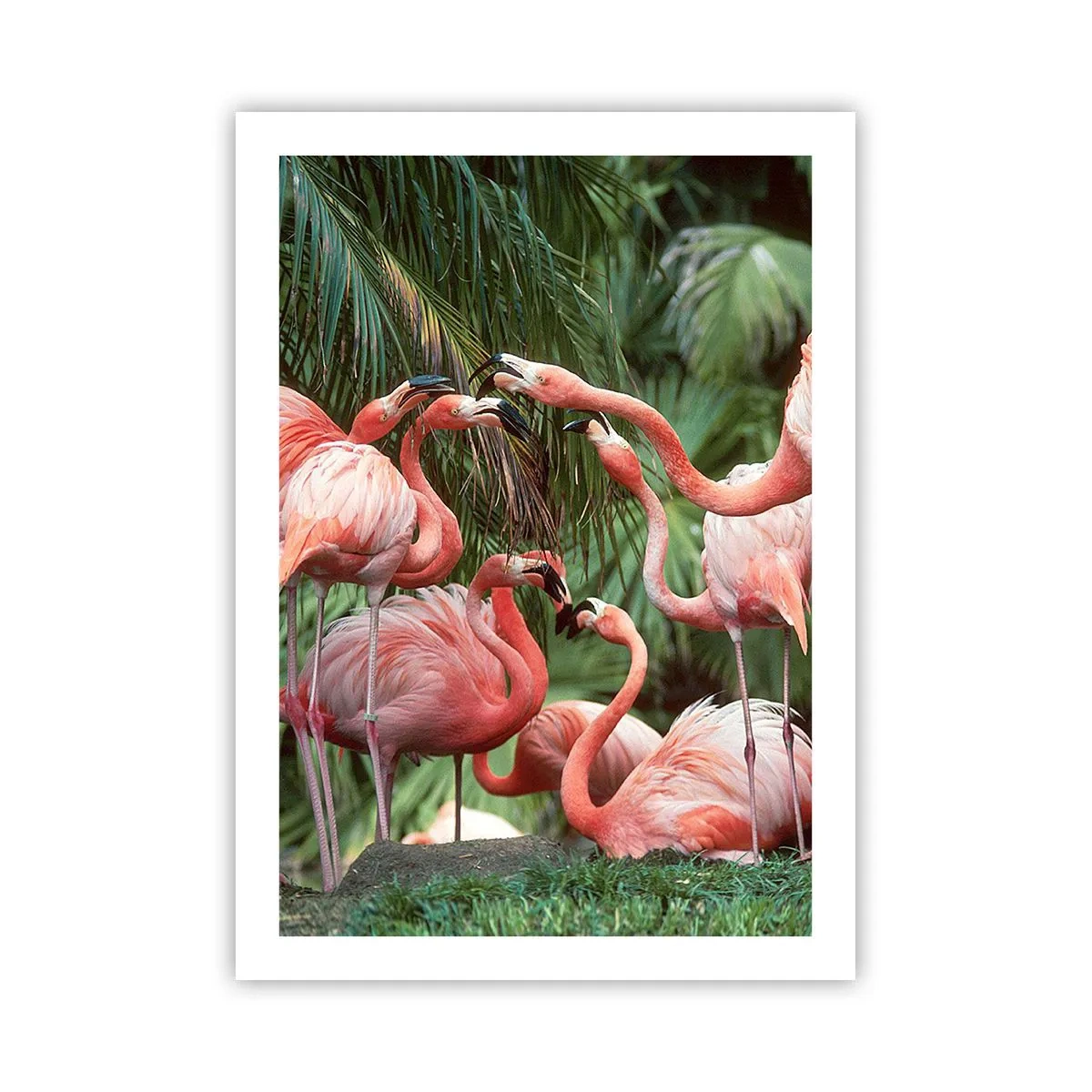 Poster - Fenicotteri rosa in un ambiente esotico di palme - 50x70cm - Pettegolezzi pomeridiani - Decorazione murale moderna per soggiorno e camera da letto ARTTOR