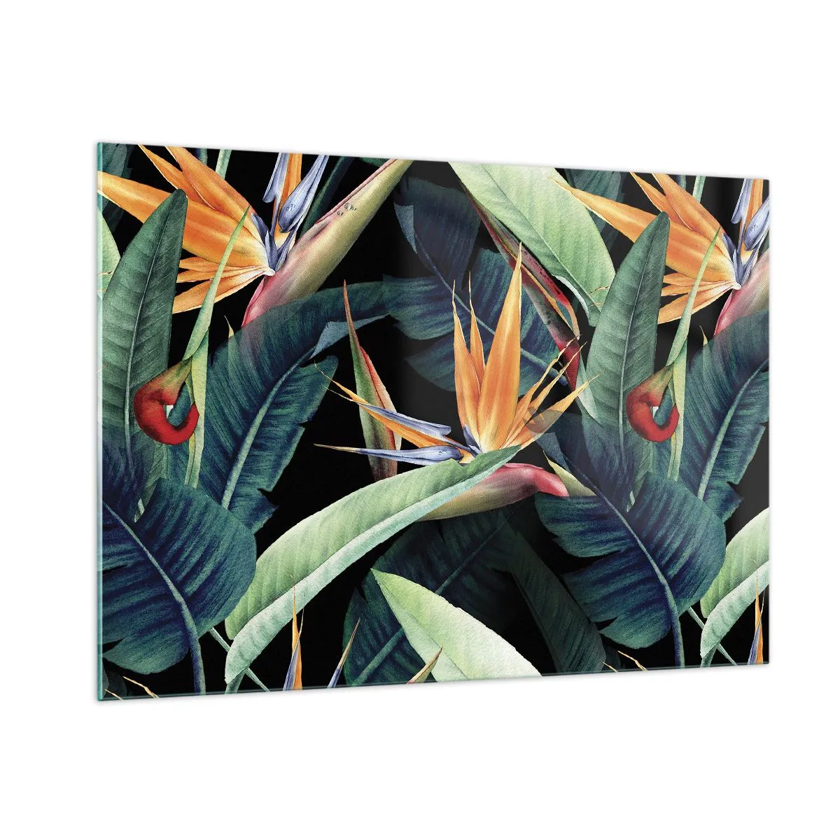 Quadro su vetro - Fiori di strelitzia e foglie tropicali su sfondo nero - 100x70cm - I fiori fiammeggianti dei tropici - Decorazione murale moderna per soggiorno e camera da letto ARTTOR