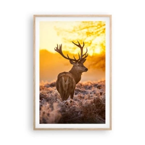 Poster in cornice rovere chiaro - Il re del bosco estivo - 61x91 cm