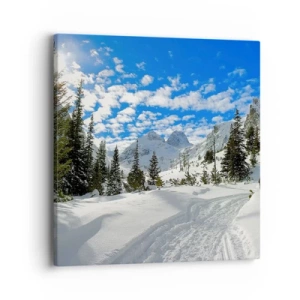 Quadro su tela - Stampe su Tela - Nella neve e nel sole - 40x40 cm