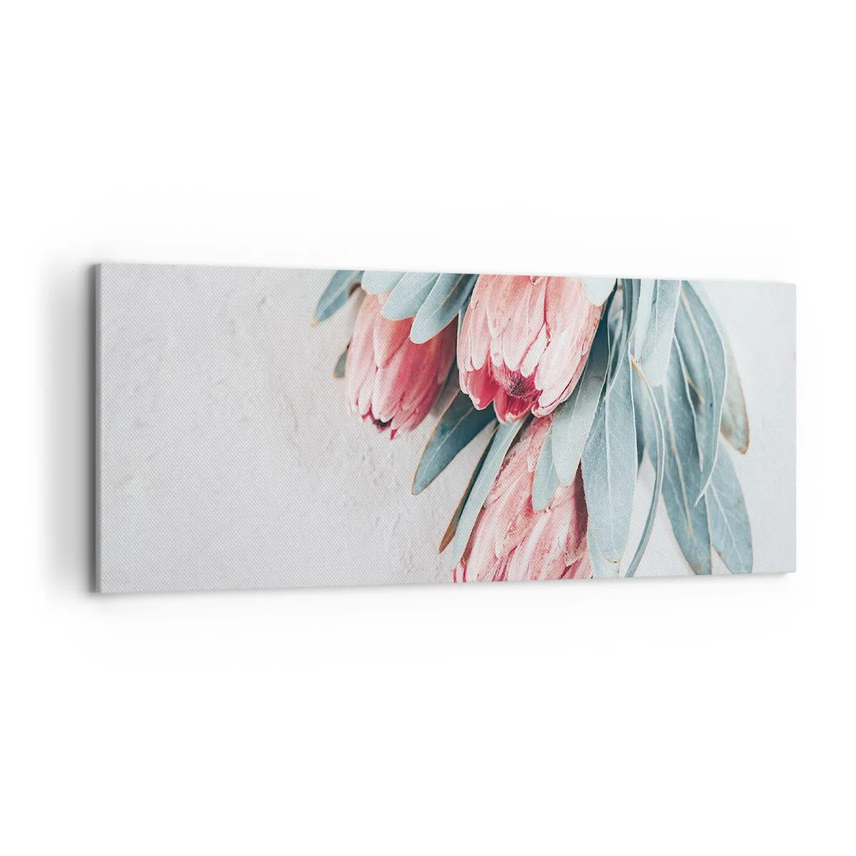 Quadro su tela - Stampe su Tela - Delicati fiori di protea rosa su uno sfondo chiaro - 120x50cm - Imbarazzati per la propria bellezza - Decorazione murale moderna per soggiorno e camera da letto ARTTOR