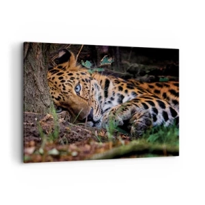 Quadro su tela - Stampe su Tela - Un leopardo sdraiato all'ombra degli alberi - 100x70cm - Fidati di me - Decorazione murale moderna per soggiorno e camera da letto ARTTOR