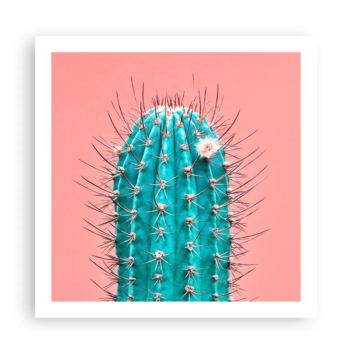 Poster - Stai attento - 60x60 cm